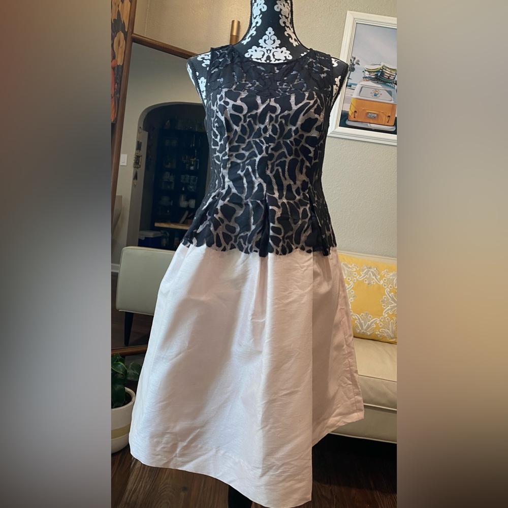 Donna Morgan, Blush Pink Black Lace , Fit & Flare Dress, Size 6